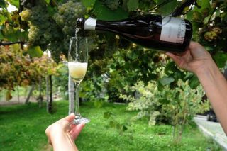  Fin de semana para disfrutar de los vinos espumosos gallegos en Salvaterra