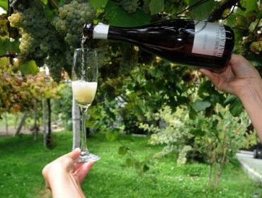 Fin de semana para disfrutar de los vinos espumosos gallegos en Salvaterra