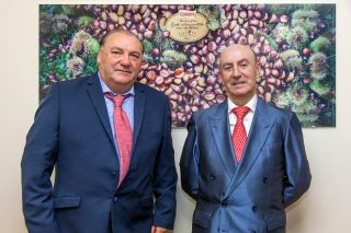 COREN compra 4,5 millones de kilos de castaña gallega para alimentar a los cerdos de la gama Selecta