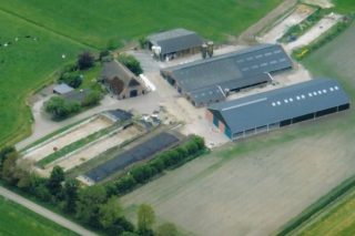 ¿Cómo reduce las emisiones de amoniaco una granja de Holanda?