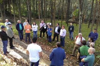 El proyecto Forest-in organizará en Galicia un curso para gestores forestales