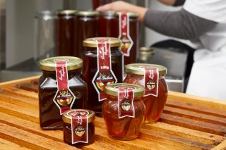 Convocadas las ayudas para mejorar la producción y comercialización de la miel