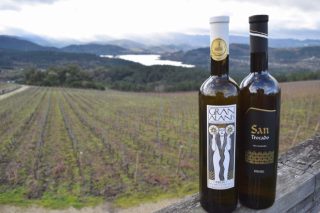 15 medallas de oro para los vinos gallegos en el concurso internacional Mundus Vini