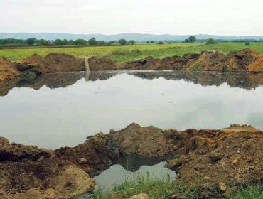 El Gobierno aprobará este año un decreto sobre protección del agua contra los nitratos agrícolas