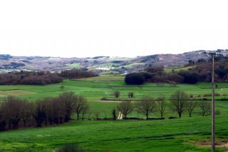 (I) ¿A dónde han ido a parar más de 150.000 hectáreas de tierras productivas en Galicia en las últimas décadas?