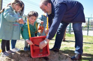 Unos 13.000 escolares lucenses plantan abedules en la Semana del Árbol y del agua