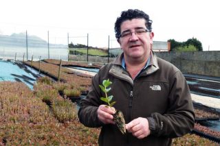 “Galicia se convertirá en una potencia en eucalipto nitens, que es la estrella de las plantaciones forestales”