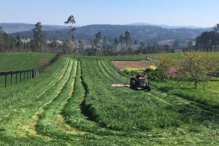 Imágenes del primer corte de hierba de este año en Galicia
