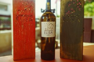Un vino Ribeiro, Canción de Elisa 2022, elegido mejor vino blanco de España