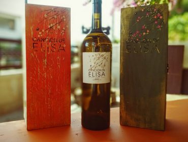 Un vino Ribeiro, Canción de Elisa 2022, elegido mejor vino blanco de España
