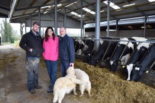Connory Farm: Retrato de una granja media de vacuno de leche en Irlanda