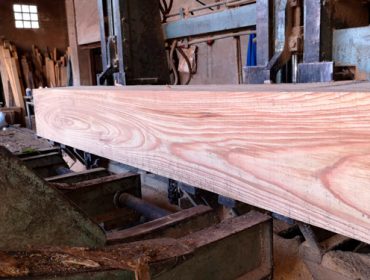 ¿Aumentará el uso de las frondosas autóctonas para madera serrada?