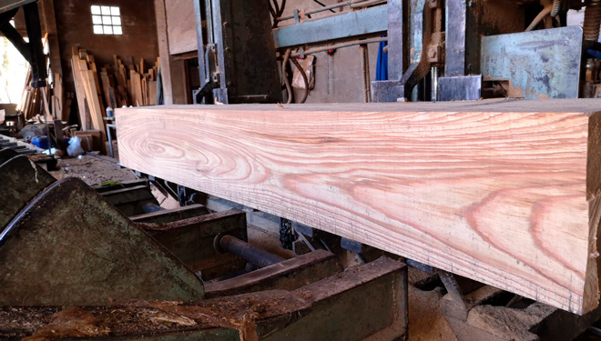 ¿Aumentará el uso de las frondosas autóctonas para madera serrada?