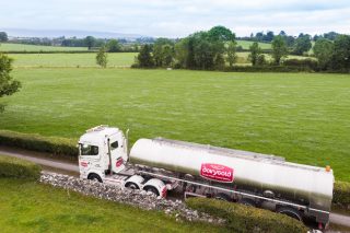 Así funciona DairyGold, la mayor cooperativa láctea de Irlanda