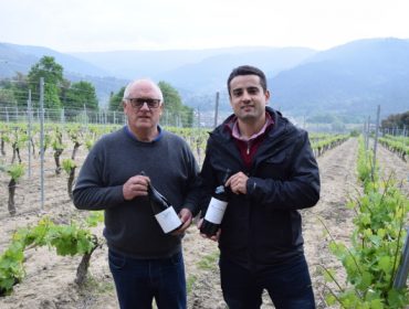 El viticultor Pepe Estévez, premio «Vida entre vides» de la DO. Ribeiro