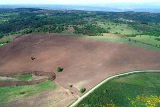 Coren planta sus primeras 50 hectáreas de cereal ecológico