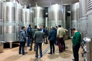 Próxima convocatoria de 4,4 millones de euros en ayudas de la Xunta para elaborar y comercializar vino