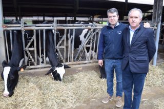 Badiola Holstein: La ganadería de vacuno de leche más premiada de España
