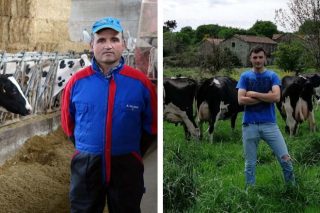 Dos ganaderías modelo en la mejora de grasa y proteína de la leche