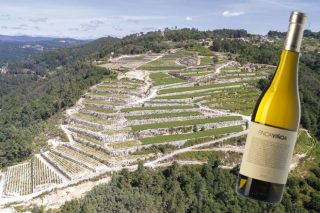 Un Ribeiro, Finca Viñoa, elegido el mejor vino blanco de España 2019