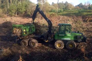 La demanda de biomasa para usos energéticos se dispara en Galicia
