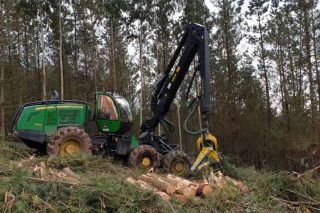 La cadena de la madera reduce actividad por la bajada de la demanda