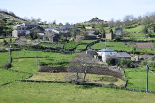 Galicia acogerá en mayo el congreso internacional de innovación rural en el campo ‘Spin rural’
