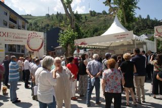 La Feria del Vino de Valdeorras se celebrará los próximos 8 y 9 de julio