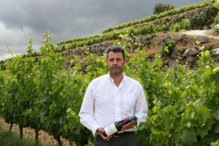 Finca Viñoa: Así se logra el mejor vino blanco de España