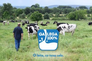 Galega 100%: El sello de garantía de la leche de Galicia