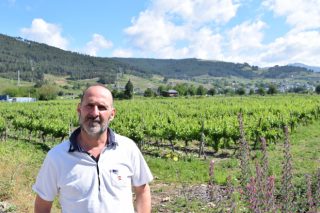 “Tenemos solicitudes para plantar viñedos de 30 o 40 hectáreas en Valdeorras, y cada vez a más altura”