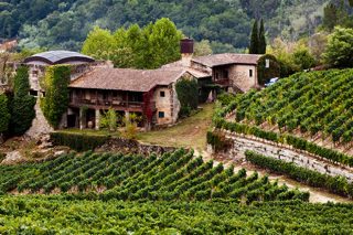 Convocadas las ayudas de la Xunta para inversiones en el sector vitivinícola