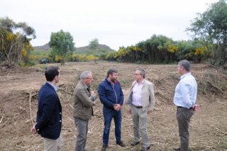 Comienzan los trabajos para poner en producción 250 hectáreas abandonadas de Cualedro