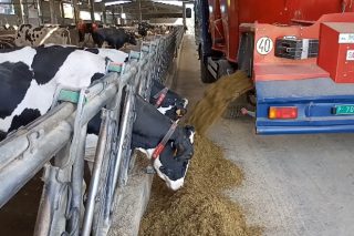 Los fabricantes de piensos en Galicia alertan del cierre de granjas ante la subida de las materias primas, la luz y el gas