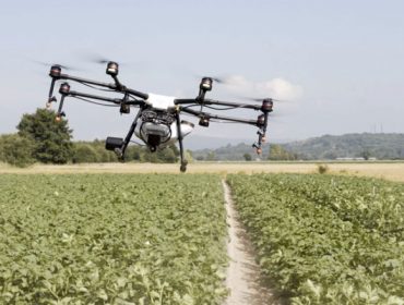 Curso para tratamientos de sanidad vegetal aplicados con drones
