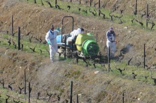 Curso de renovación del carné de aplicador de fitosanitarios en Lugo