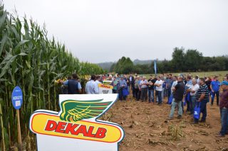 Jornada Dekalb este jueves en Santa Comba sobre los últimos avances en nuevas tecnologías para el cultivo del maíz