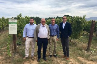 Nuevos proyectos de Bodegas Terras Gauda para lograr vinos más ecológicos