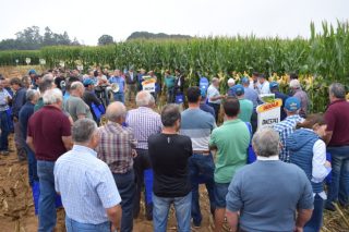 Dekalb presenta en Arzúa sus próximas novedades en cultivo de maíz