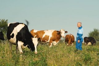 Un ganadero gallego protagonista de la campaña de Lactalis por sus 20 años de leche ecológica