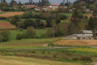 La Xunta inicia la puesta en marcha de 8 polígonos agroforestales para poner en  producción unas 4000 hectáreas