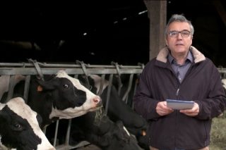 “El principal reto para el sector lácteo es la falta de relevo generacional en las ganaderías”