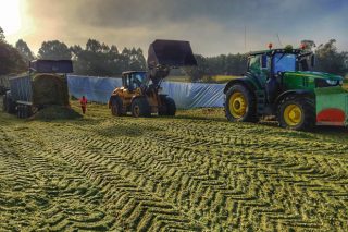 Vídeo e imágenes del ensilado del maíz en Galicia 2019