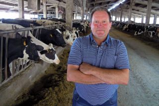 A Campiña, 30 años produciendo leche en una de las SAT más veteranas de Galicia