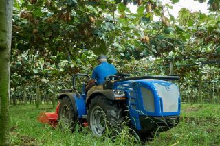 BCS Group diseña un tractor idóneo para cultivos en emparrados, como kiwi o viña