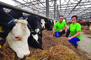 Heide Hoeve, helados holandeses a partir de la producción de 56 vacas ProCROSS