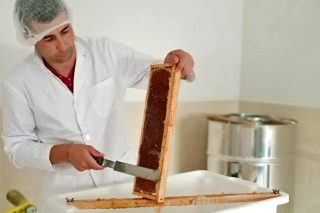 Nuevas formaciones sobre miel en Becerreá, As Pontes y Monforte de Lemos