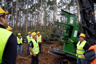 Forest Pioneer presenta la nueva taladora de cizalla TMF 600, especial para eucalipto y made in Galicia