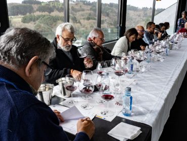 Catas online de los vinos de la D.O. Ribeira Sacra para empezar el 2021