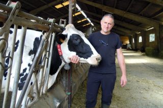 Baldomero SC, una explotación asturiana centrada en el confort y la alimentación del ganado